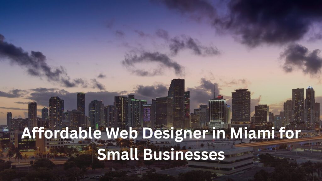 affordable web designer Miami small business Startup Starz