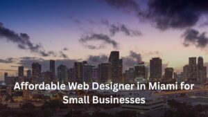 affordable web designer Miami small business Startup Starz