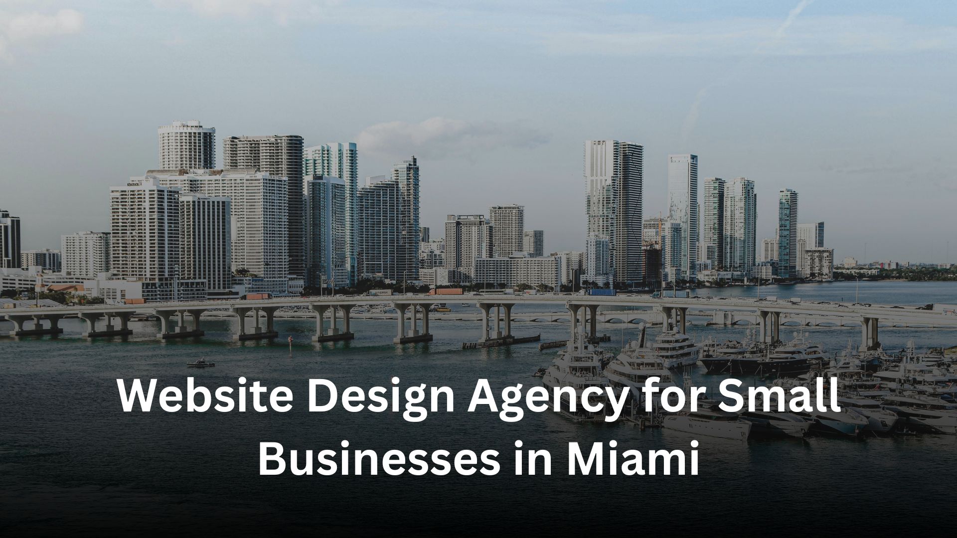 Website Design Agency for Small Businesses in Miami How to Choose the Right One in 2026